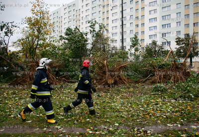 Gdansk. Wichura. Nz na powalone trzy drzewa na ulicy...