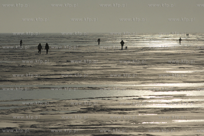 Krynica Morska. Zamarzniety Zalew Wislany.
24.01.2010
fot....