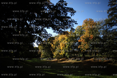 Gdansk. Park Przymorze.
17.10.2012
fot. Krzysztof...
