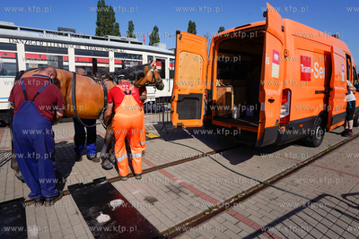 AmberExpo. Piknik rodzinny z okazji 150-lecia gdańskich...