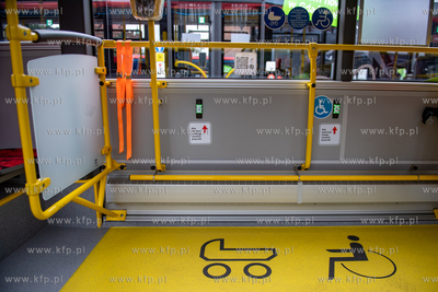 Targ Węglowy w Gdańsku. Piknik rodzinny podczas którego...