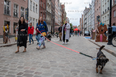 Święto Ulicy Ogarnej, podczas którego, w ramach...