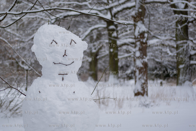 Zima w Gdańsku. 13.01.2026 / fot. Anna Rezulak / KFP