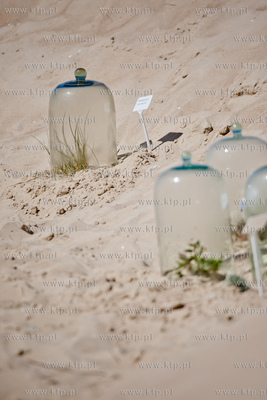 Gdansk. Wyspa Sobieszewoska. Teren Stacji Badawczej...