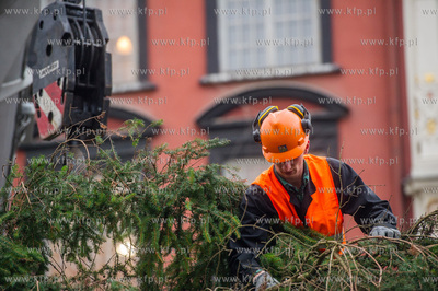 Gdansk. Dlugi Targ. Operacja stawiania swiatecznej...