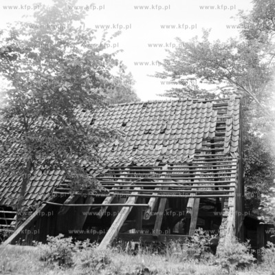 Ruiny zabytkowej kuzni wodnej w Gdansku Oliwie. 1969...