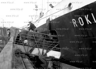 Transport na statek Rokita koni przeznaczonych na eksport...