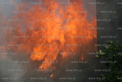 Pozar zabytkowego kosciola sw Katarzyny w Gdansku.
22.05.2006
Fot....