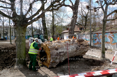 Sopot. Rewaloryzacja Parku Poludniowego im. Marii i...