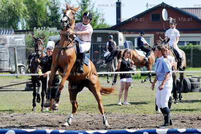 Stadnina koni MORINA w Redzie/Wejherowa. Towarzyskie...