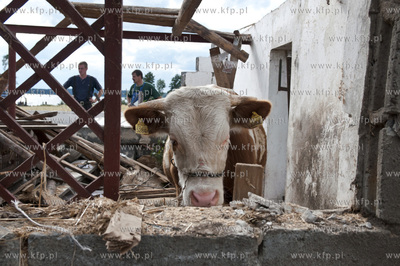 W wyniku trąby powietrznej, która przeszła nad ...