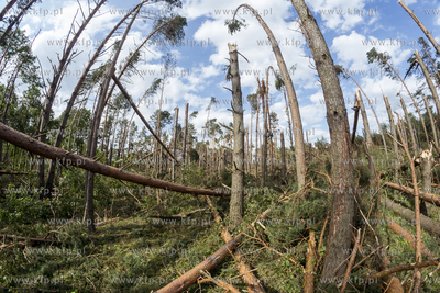 Skutki nawałnicy, która z piątku na sobotę przeszła...