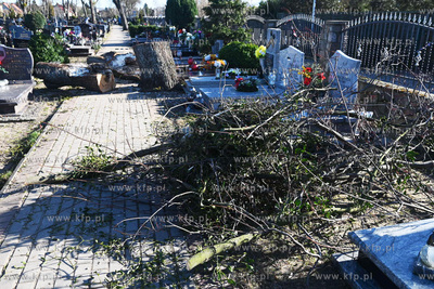 Nad Pomorzem przesła gwałtowana wichura powodując...