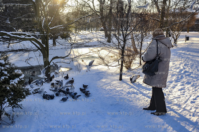 Zima w Parku Oliwskim. Karmienie ptaków. 05.01.2008...