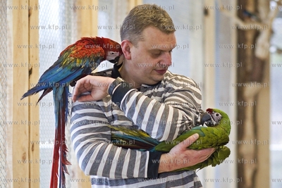 Nowa Papugarnia w Gdańsku Suchaninie.
29.12.2016
fot....