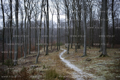 Trójmiejski Park Krajobrazowy. Szlak niebieski, Dolina...