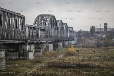 Most Tczewski, widok od strony Lisewa Malborskiego.
14.11.2019
fot....