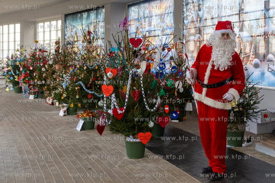 Sopot. Zapalenie światełek na ustrojonych przez dzieci...