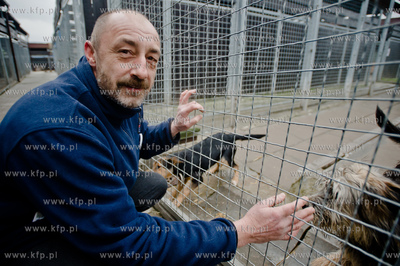Gdansk. Schronisko dla bezdomych zwierzat Promyk. Akcja...