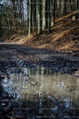 Gdansk. Oliwa, Trojmiejski Park Krajobrazowy. Sciezka...