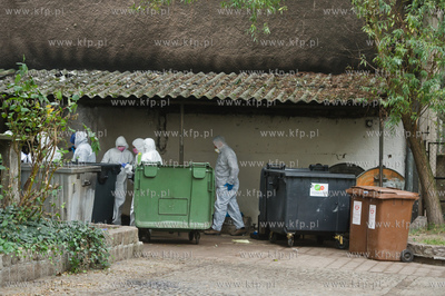 Gdansk. Podworze kamienicy przy ul. Dlugi Targ. Odnalezienie...
