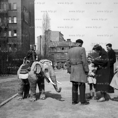 Słoń jako atrakcja turystyczna . (lata50).
1957
0005190z_gd
Fot....