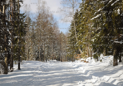 Szymbark /Kartuz. Zima na Kaszubach.
26.03.2009
Fot....