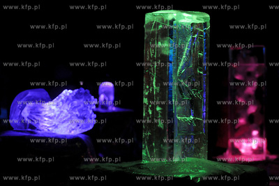 II Festiwal Rzezb Lodowych w Gdyni. Nz. Rzezby iluminowane...