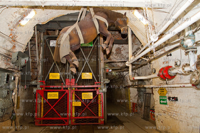 Kopalnia Guido zalozona zostala w 1855 roku przez hrabiego...