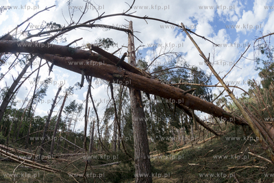 Skutki nawałnicy, która z piątku na sobotę przeszła...