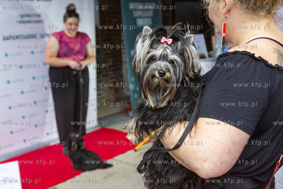 "Cukroteka na 4 łapy" w Pruszczu Gdańskim.
26.08.2023
fot....