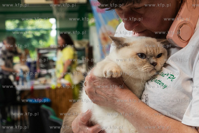 Międzynarodowa wystawa kotów rasowych "Koty na Hawajach"...