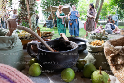 Festyn historyczny w Cukrotece w Pruszczu Gdańskim....