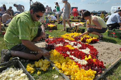 Zulawski Tulipan -  piata edycja imprezy zorganizowanej...