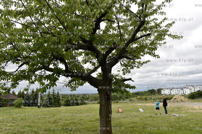 Dni Sąsiadów. Festyn przy parafii Miłosierdzia Bożego...
