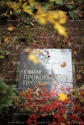 Sopot. Cmentarz Zolnierzy Radzieckich.
24.10.2012
fot....