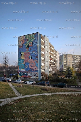 Gdansk Zaspa. Murale.
20.11.2012
fot. Krzysztof Mystkowski...