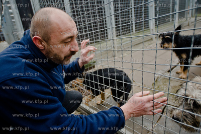 Gdansk. Schronisko dla bezdomych zwierzat Promyk. Akcja...