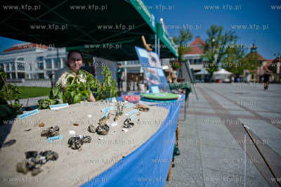 Sopot. Plac Przyjaciol Sopotu. Akcja plenerowa pt....