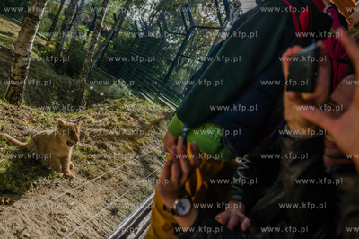 Gdansk. Zoo w Oliwie. Swiatowy dzien zwierzat. Prezentacja...