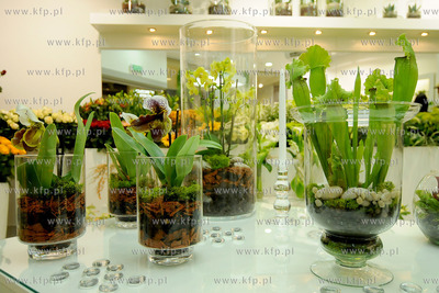 Gdynia. Dzis oficjalnie oddana zostanie nowa czesc...