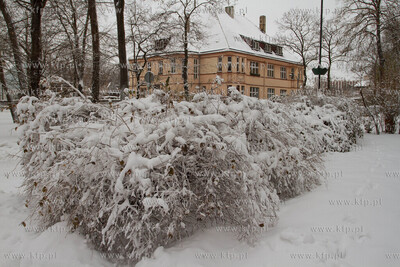 Zima w Gliwicach
13.12.2010
fot. Sebastian Elijasz...