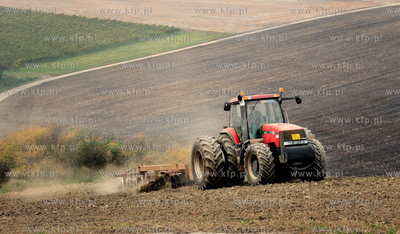 Morawy. Czechy. Okolice miejscowosci Kijev. Nz. pola...