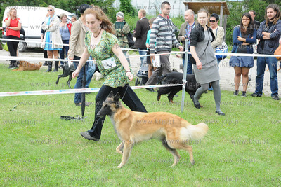 W Zespole Dworsko - Parkowym  w Gdyni Kolibkach odbyla...