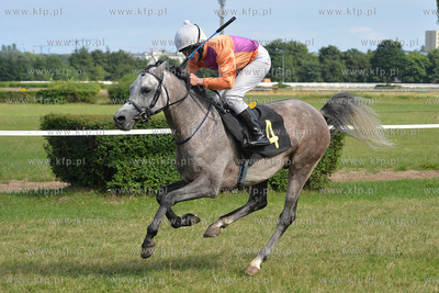 Wyscigi konne na sopockim Hipodromie. 17.07.2016 fot....
