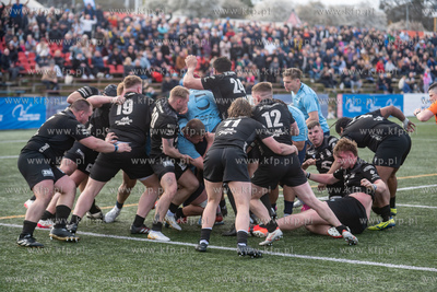 Rugby. Ogniwo Sopot - Orkan Sochaczew 19.04.2026 /...