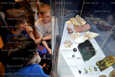 Gdansk, Muzeum Bursztynu. 5 x N - najcenniejsze, niezwykle,...