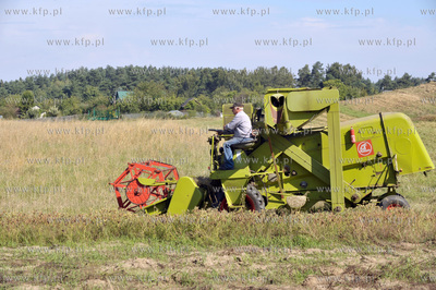 Zniwa na ul. Wolkowyskiej w Gdansku Pieckach - Migowie...