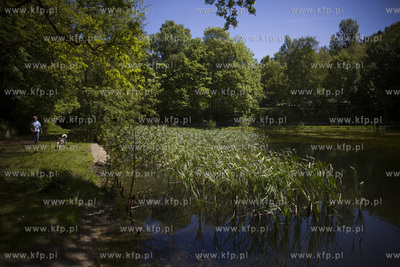 Sopot. Staw Nowowiejskiego, czyli tzw. Morskie Oko.
22.05.2017
fot....