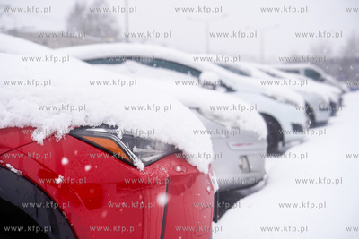 Zima z Gdańsku. Zasypane śniegiem samochody. 11.01.2025...